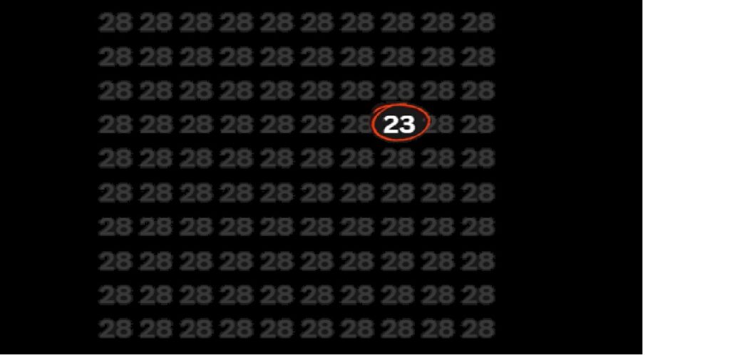 23 in 28 _3