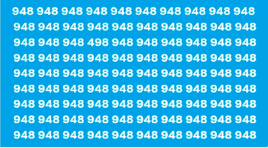 498 among 948_2